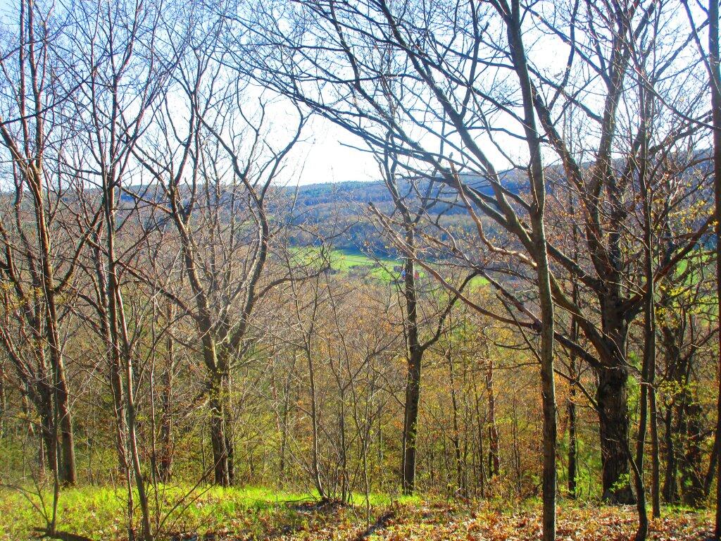 Photo: Spring Is Late