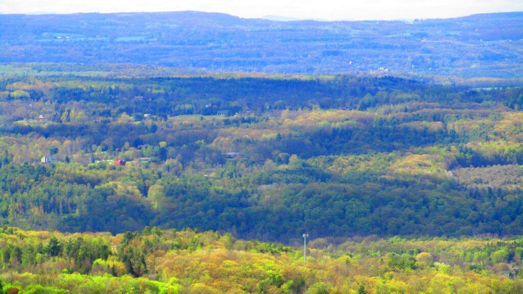 Photo: Settles Hill