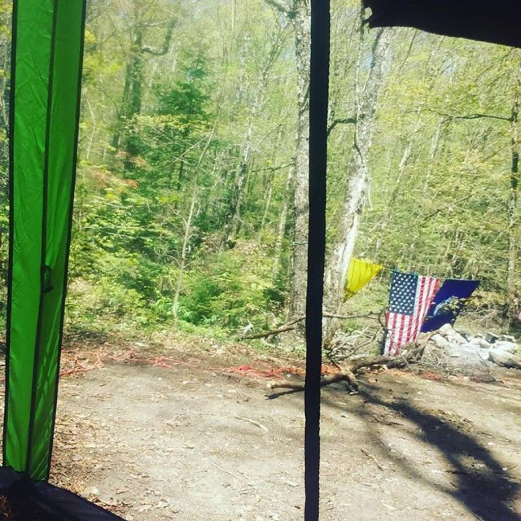 Photo: Black fly season is nicer when they are outside