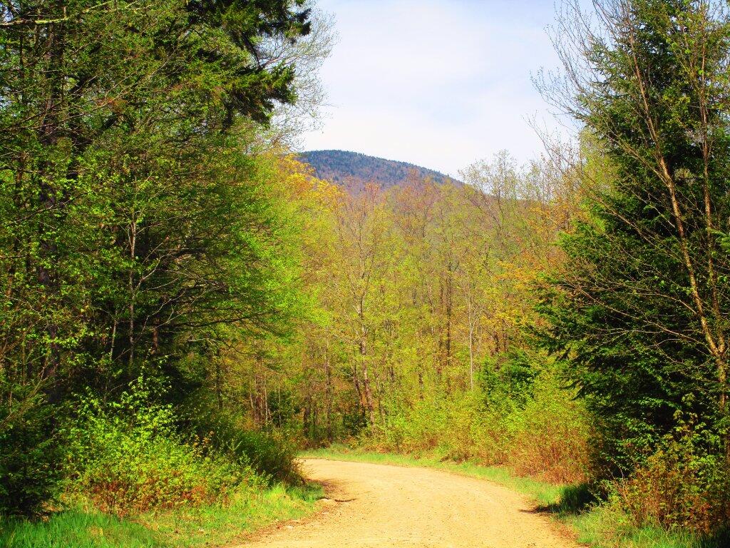 Photo: Old Military Road