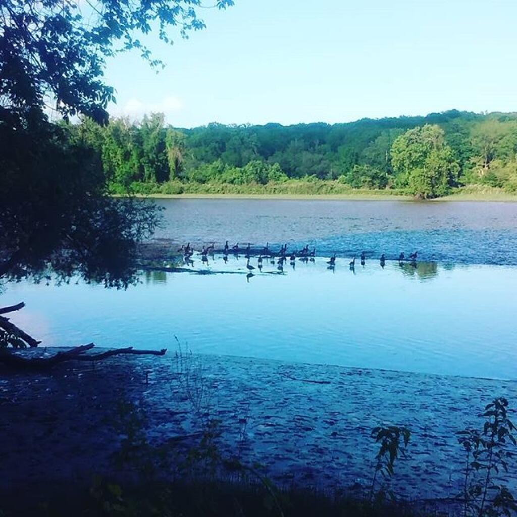 Photo: Schodack Creek is Almost Dry
