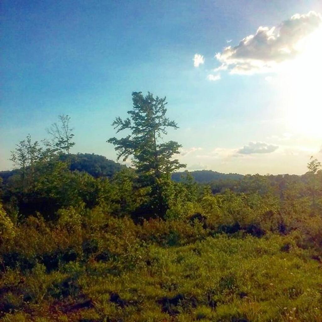 Photo: Summer evening