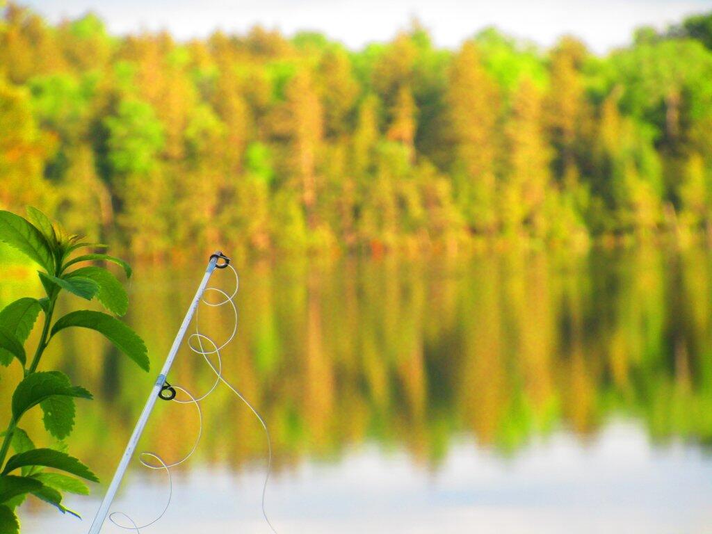 Photo: Fishing