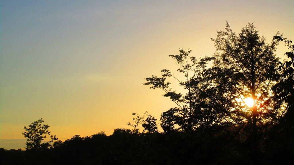 Photo: Summer Is Coming