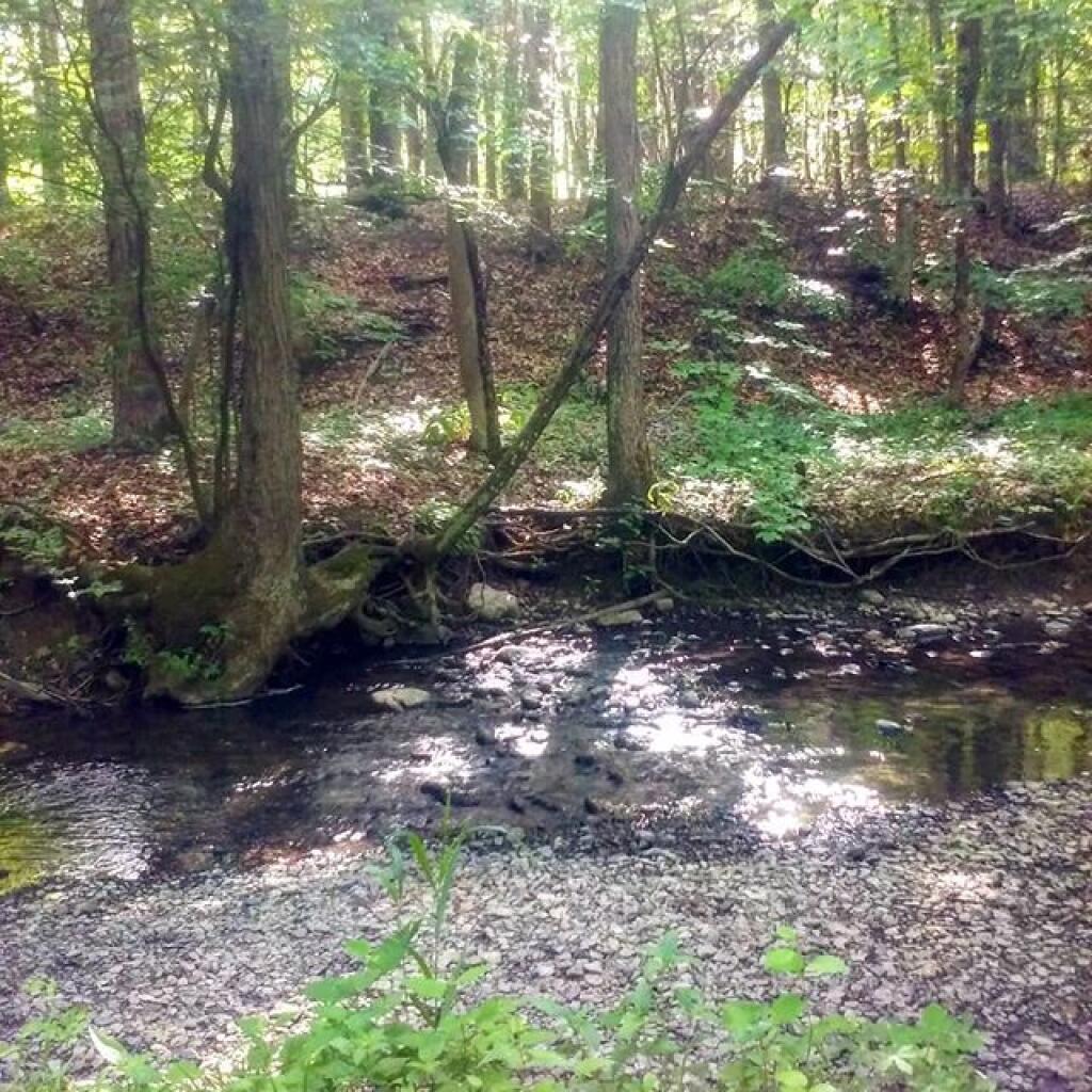 Photo: Just a trickle