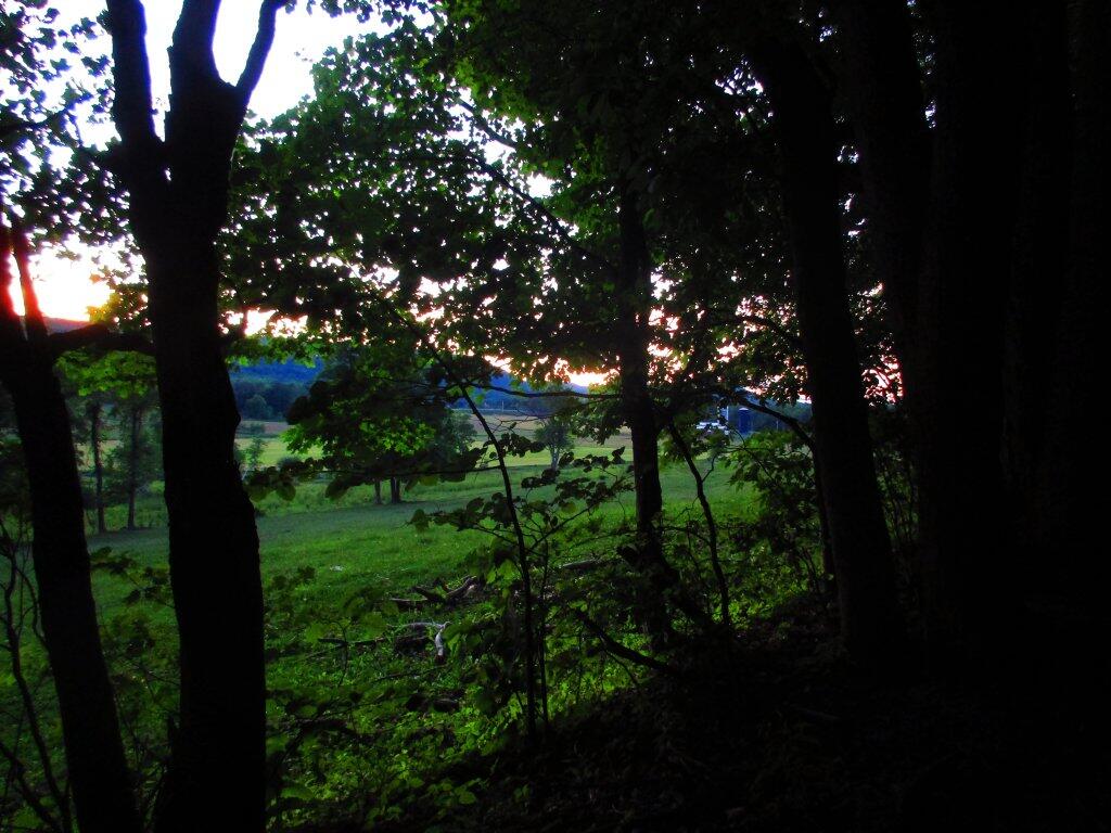 Photo: Little After Sunset