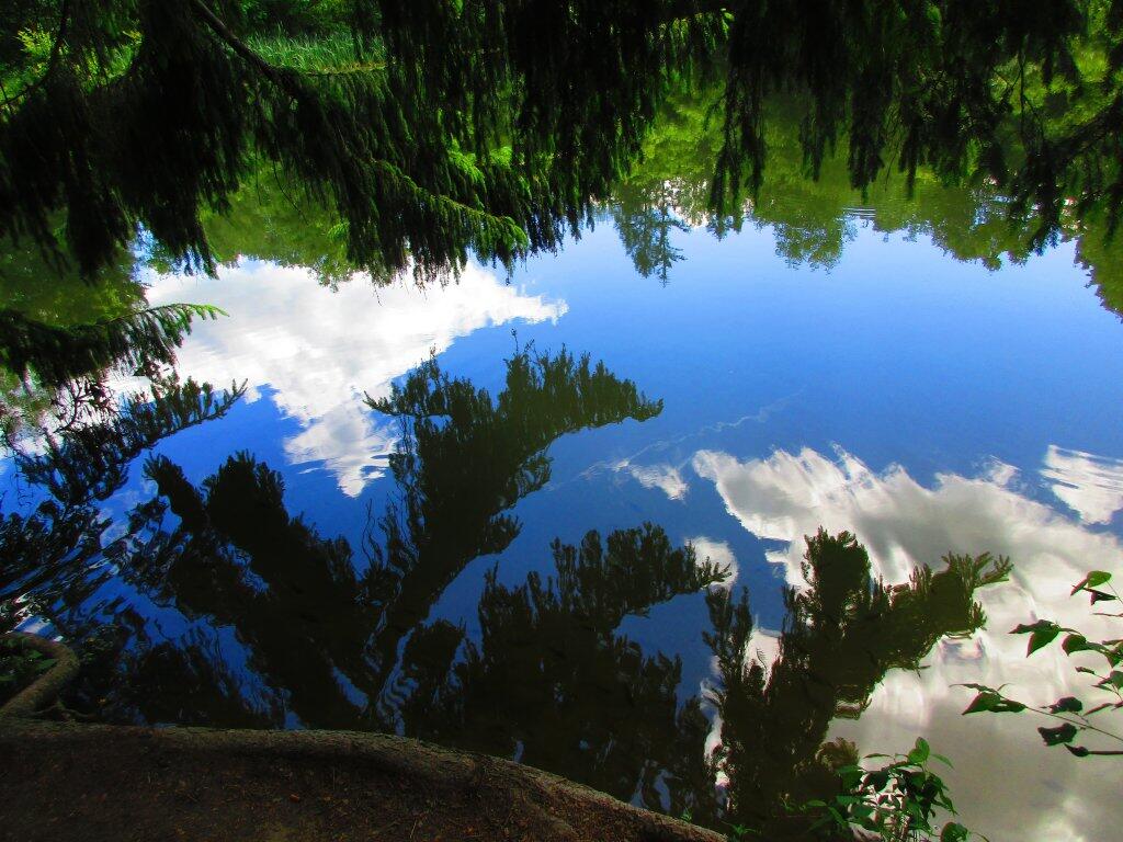 Photo: Reflection