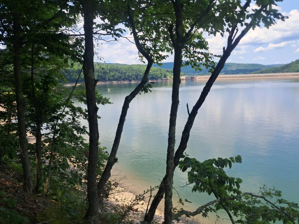 Photo: Untitled [Expires August 9 2026]