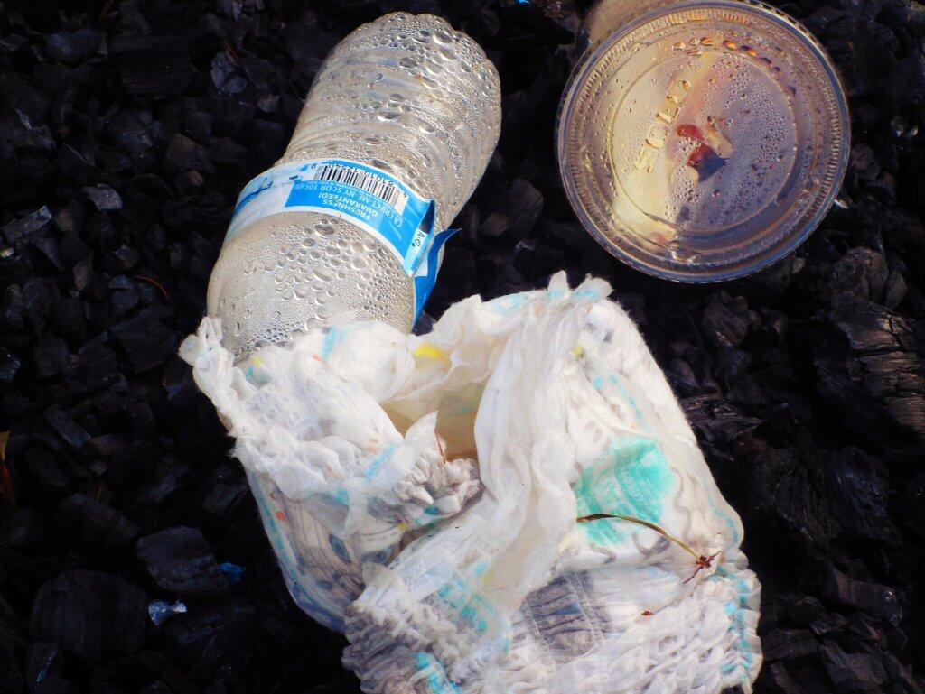 Photo: Litter