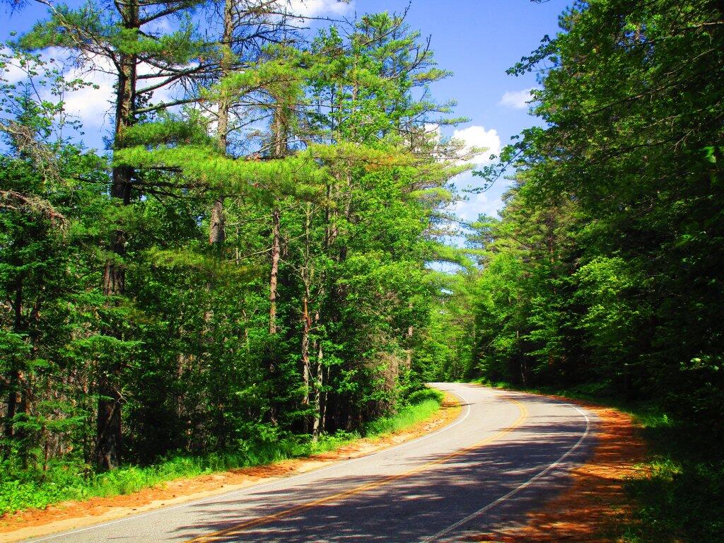 Photo: Jones Pond Road