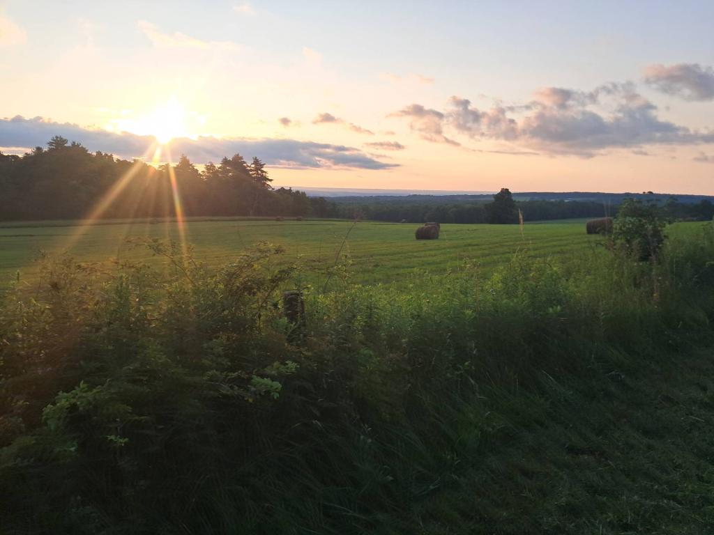 Photo: Warders Corners Road