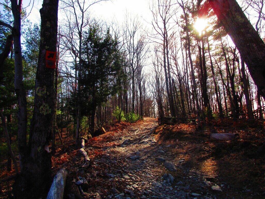 Photo: Despite Being An ATV Trail, Not Very Muddy