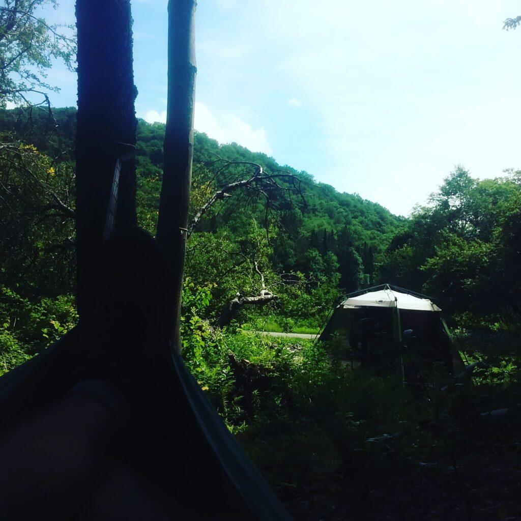 Photo: Hammock view