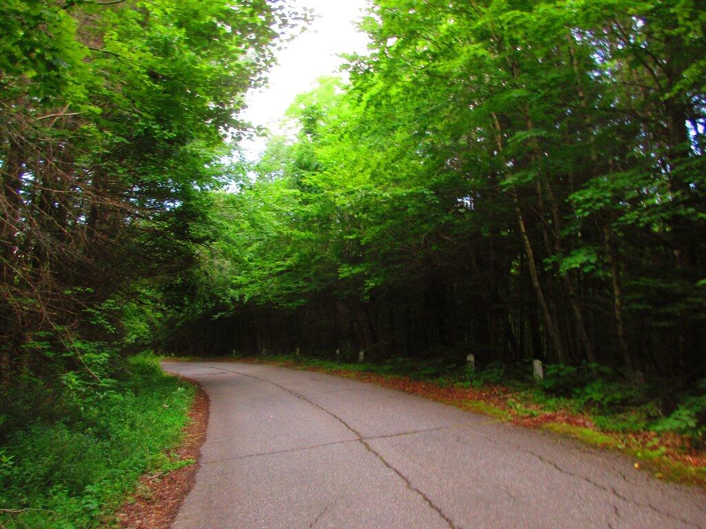 Photo: Old Route 8