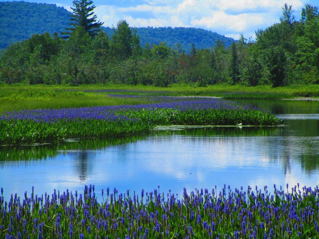 Photo: Real Pretty Day On The Scanadaga River