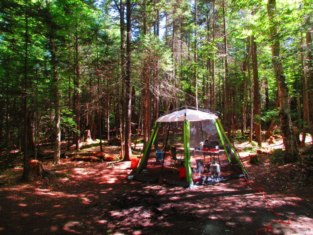 Photo: Campsite Grew On Me