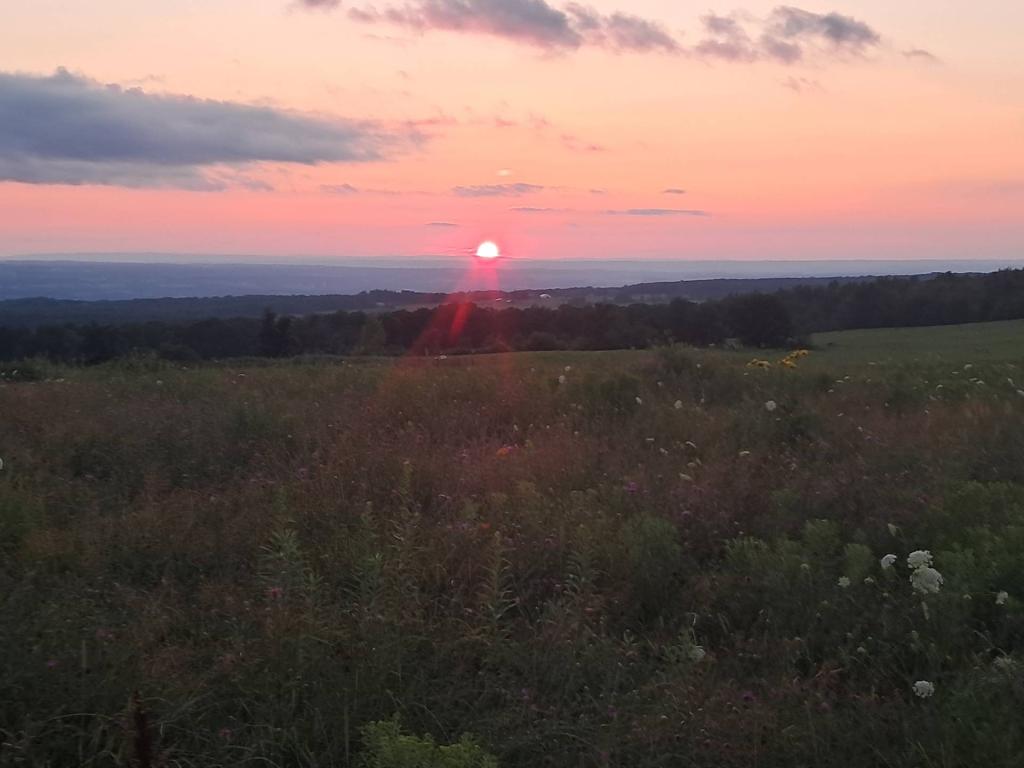 Photo: Sunset