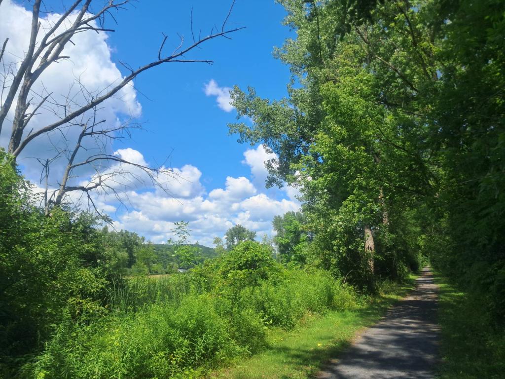 Photo: Beautiful day [Expires August 14 2026]