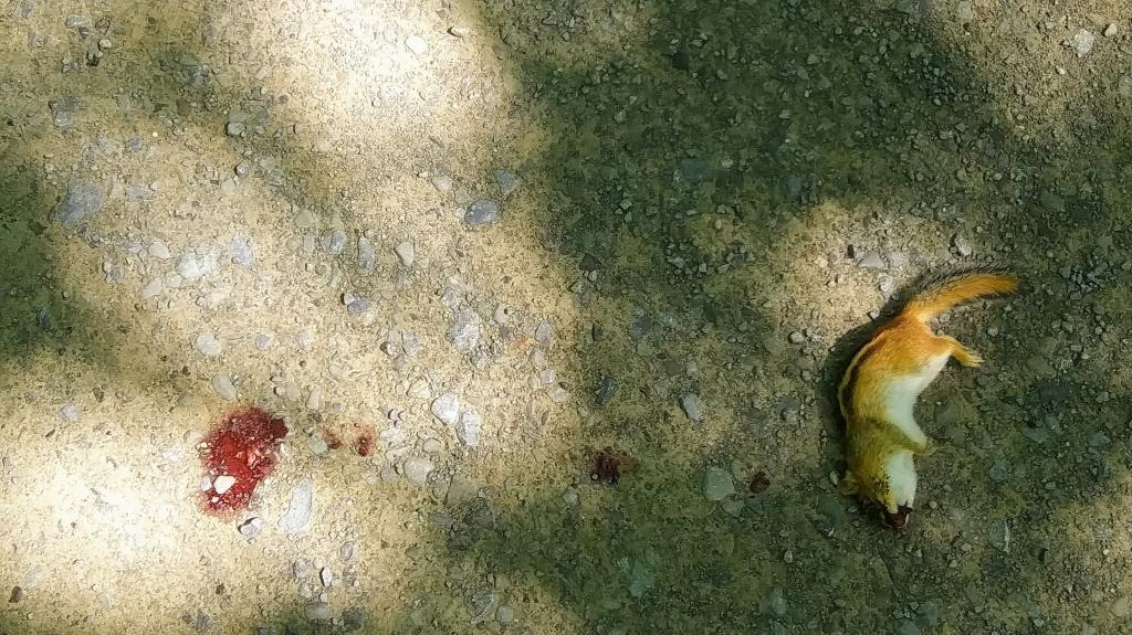 Photo: At least my Monday was better than his