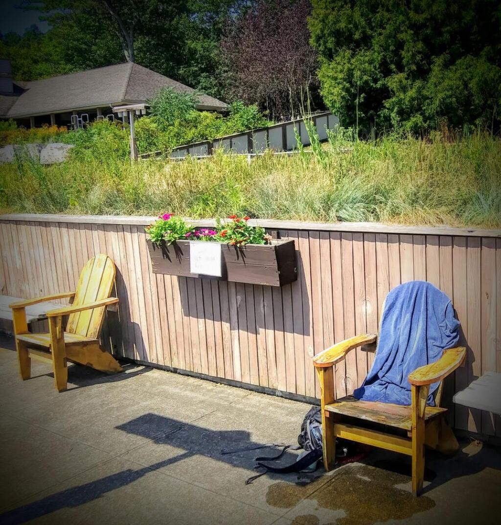 Photo: Terrace Garden is closed but they do have some of the Adirondack Chairs on the pool deck