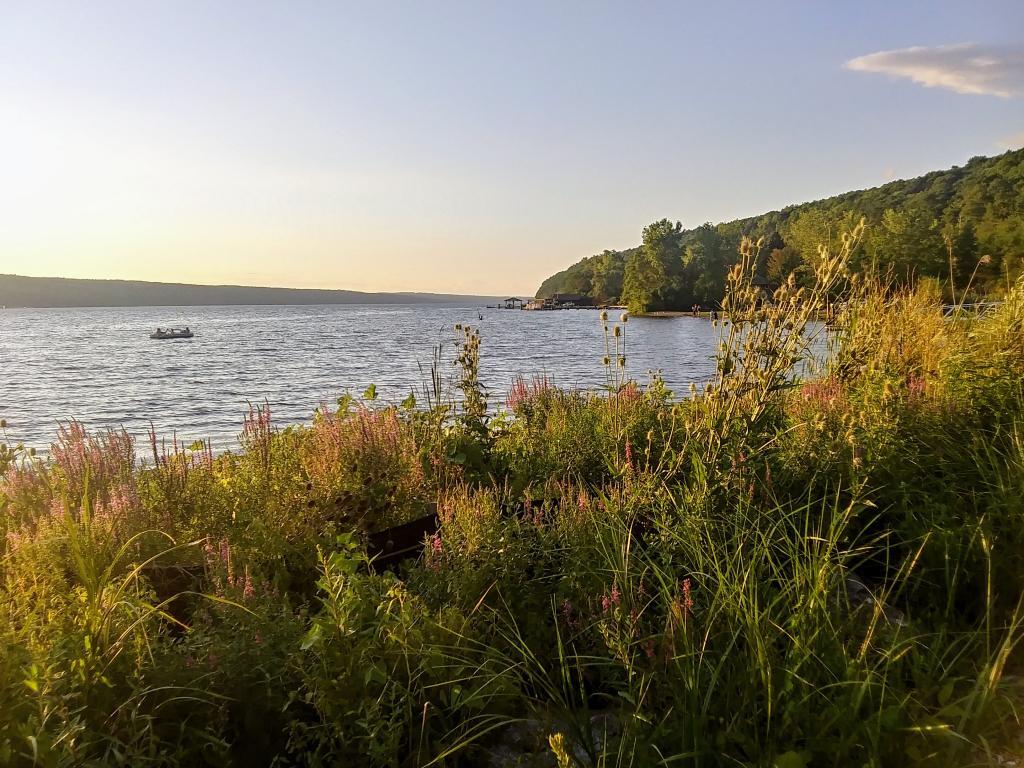 Photo: Lake Shore Photo: Lake Shore