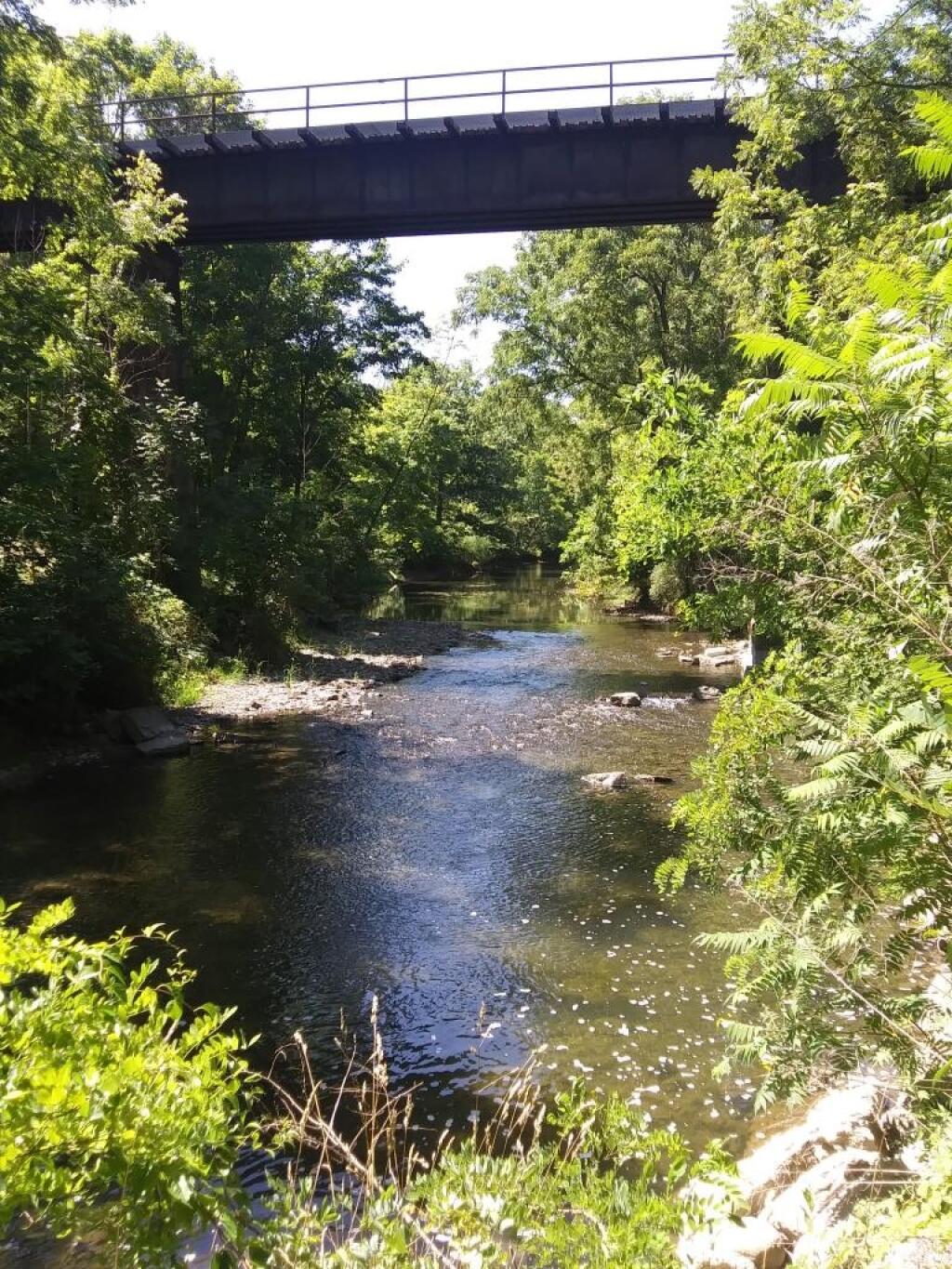 Photo: Bridge over trail