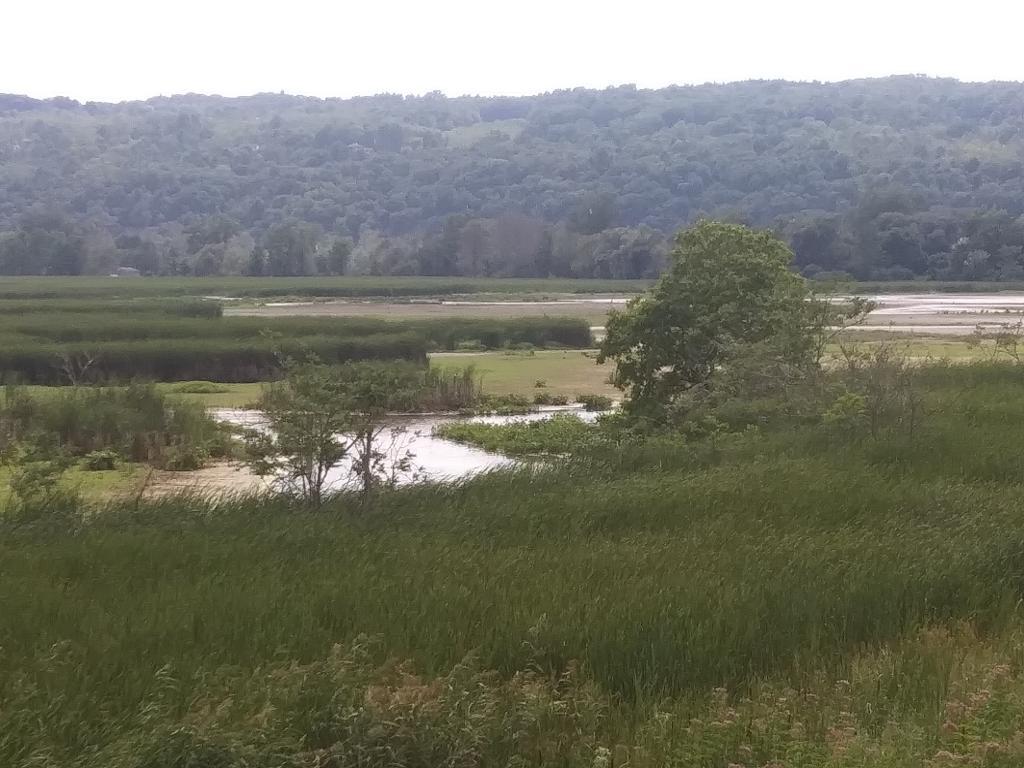 Photo: Catherine Creek Marsh