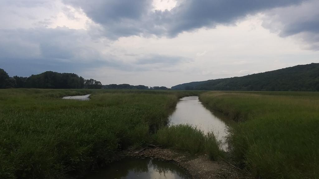 Photo: Waterways