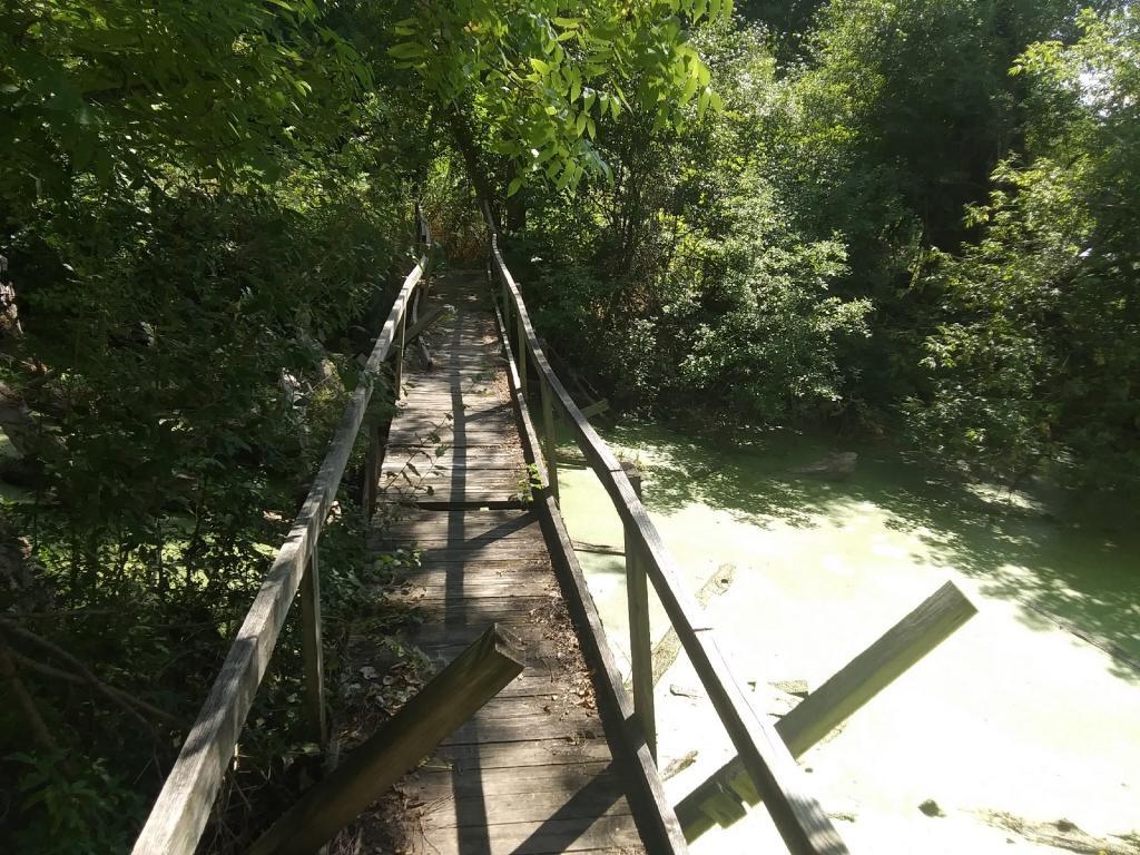 Photo: Unsafe Bridge