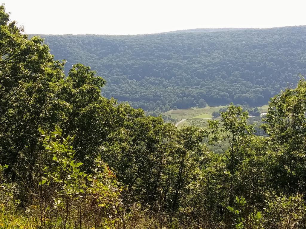 Photo: Southwest from overlook