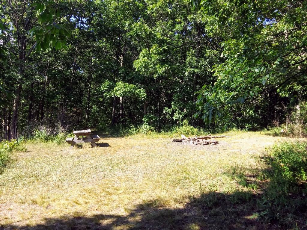 Photo: Picnic table and fireplace