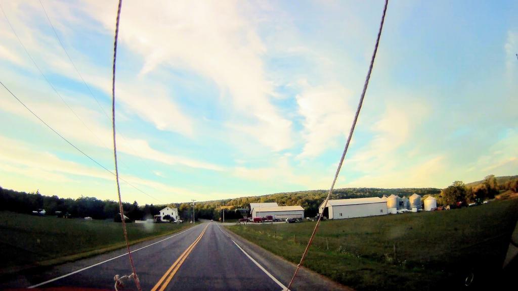 Photo: Browers Farm Bennettsville