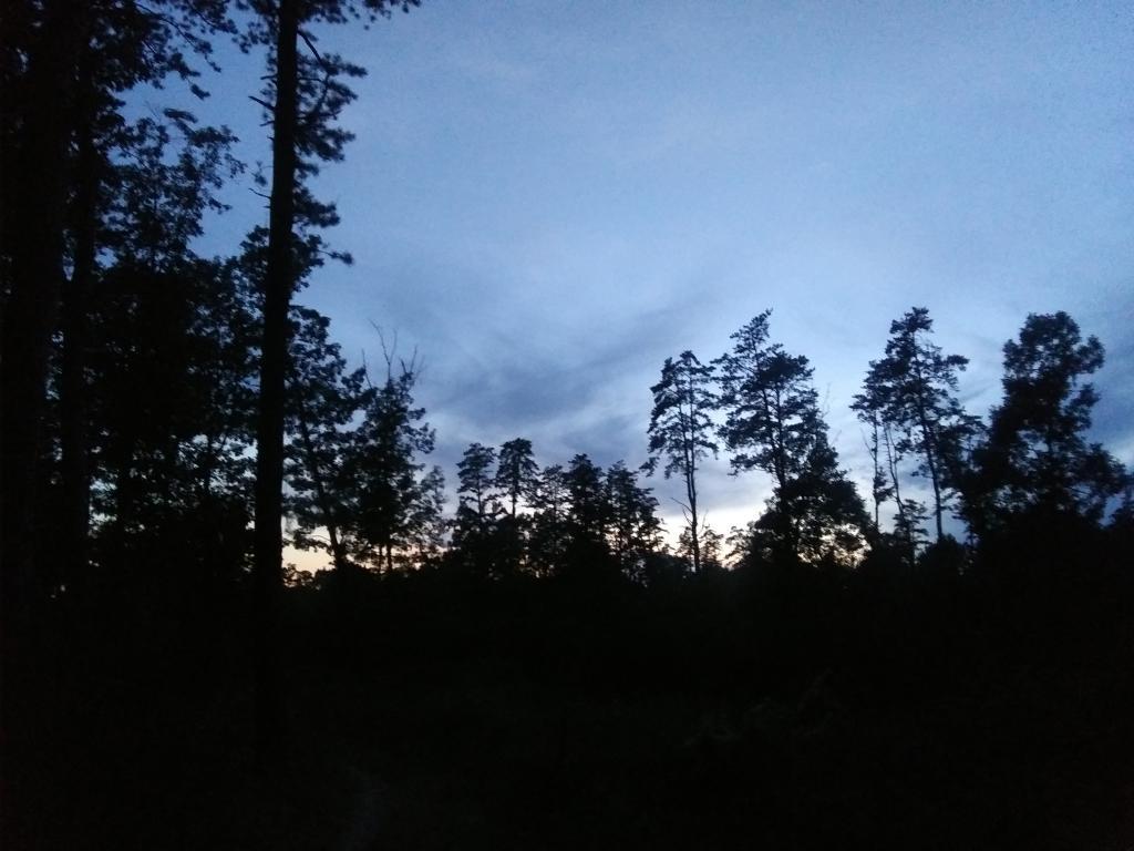 Photo: Dark so quickly