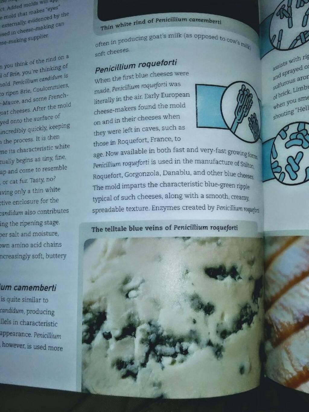 Photo: Reading about moldy cheese 🧀