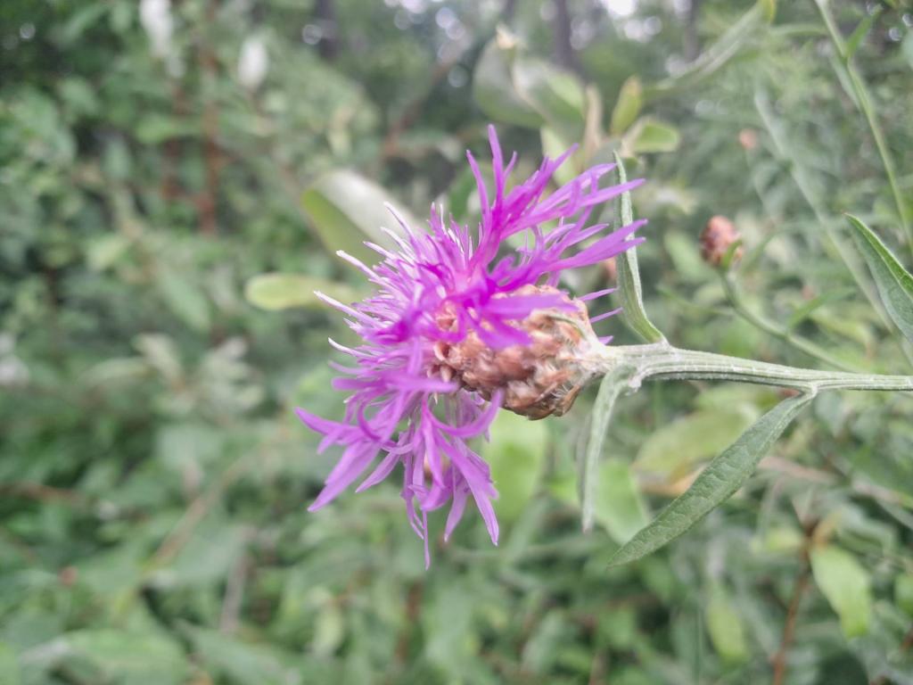 Photo: Untitled [Expires August 16 2026]