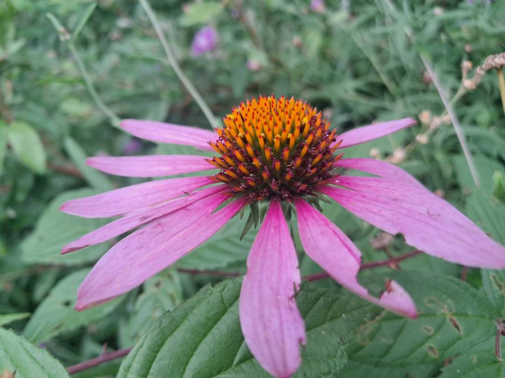 Photo: Untitled [Expires August 16 2026]