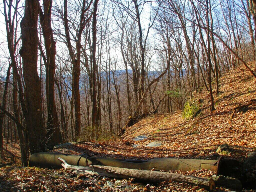 Photo: Old Lebanon Road