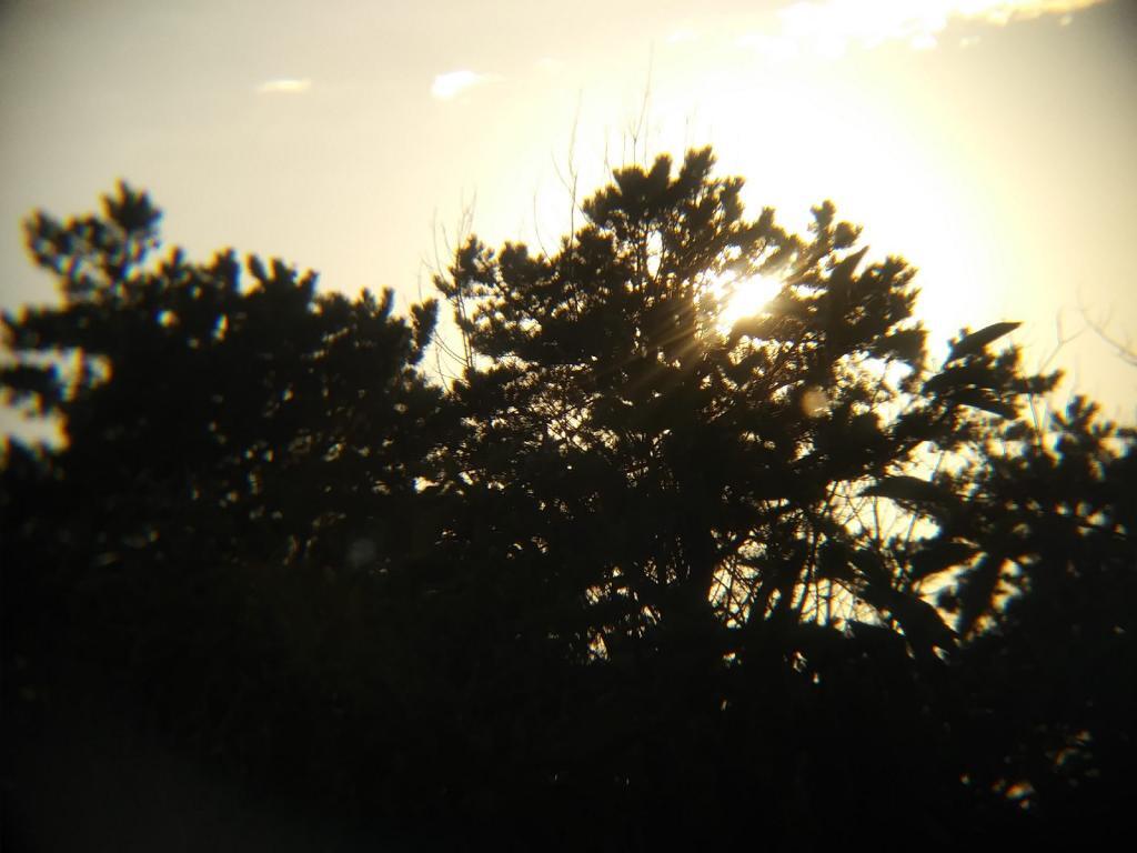 Photo: Setting sun