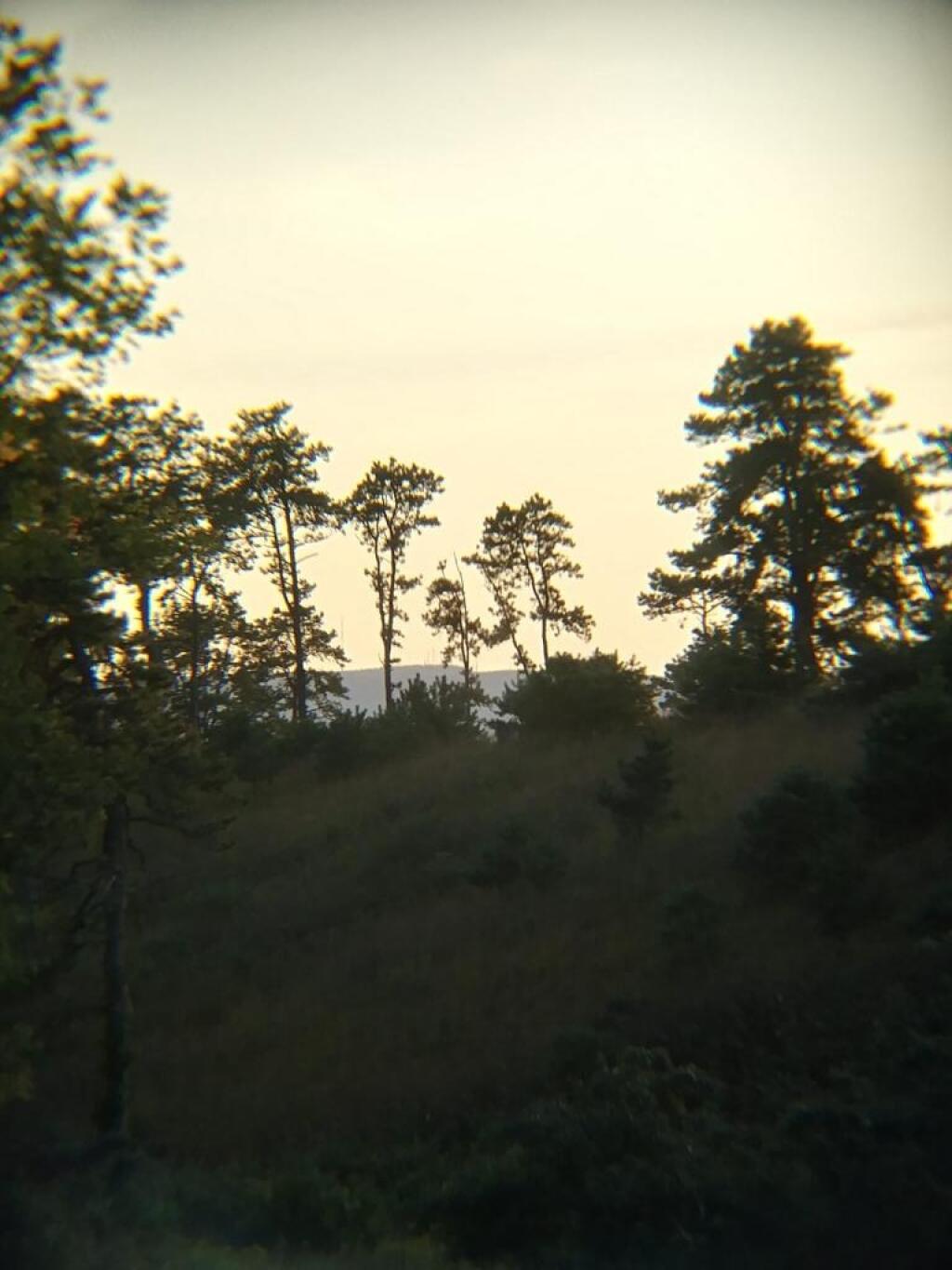 Photo: Northwest