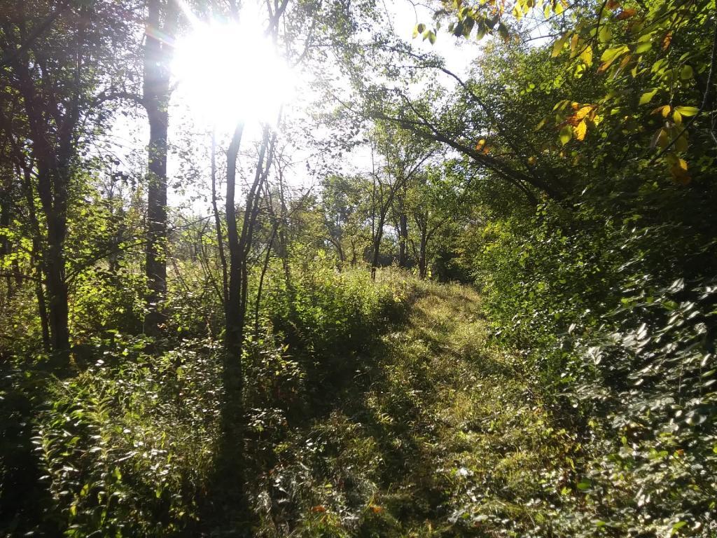 Photo: Old Apple Orchard 🍏 Photo: Old Apple Orchard 🍏