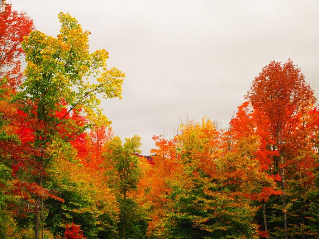 Photo: Even Rainy Days Are Nice In Autumn