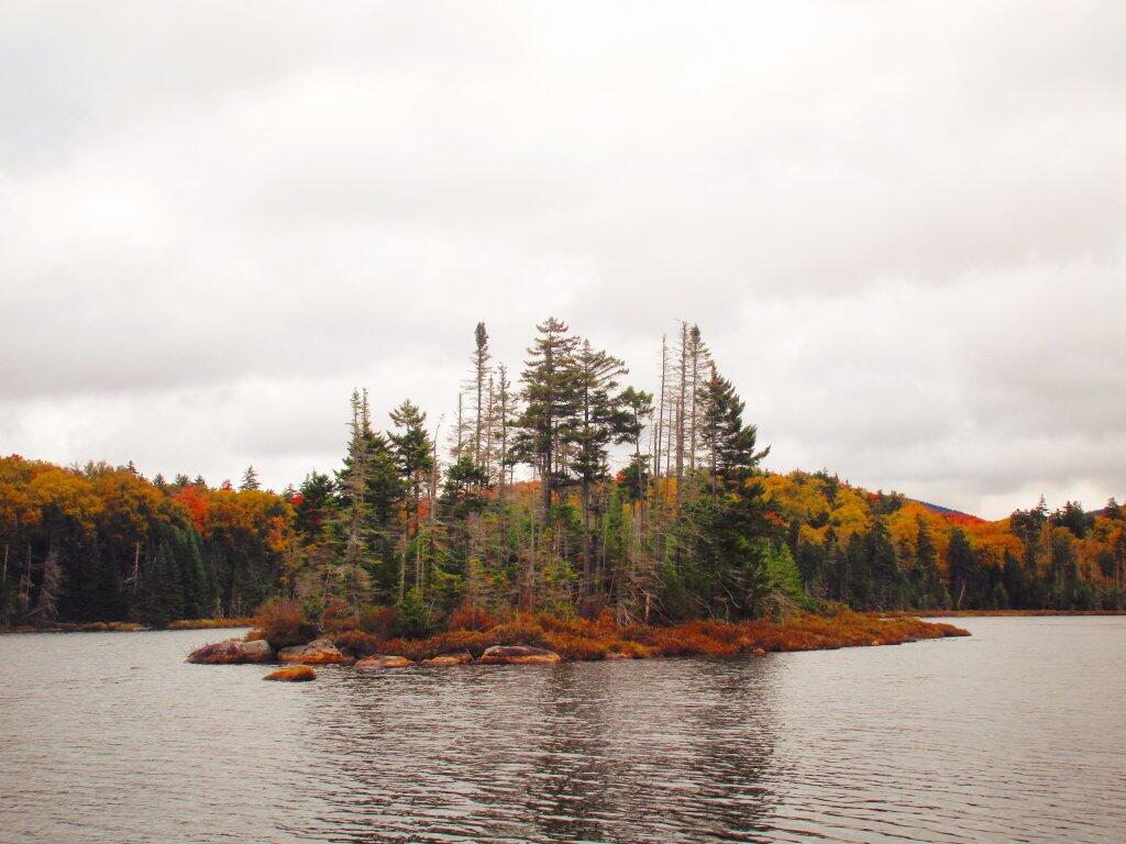 Photo: Island