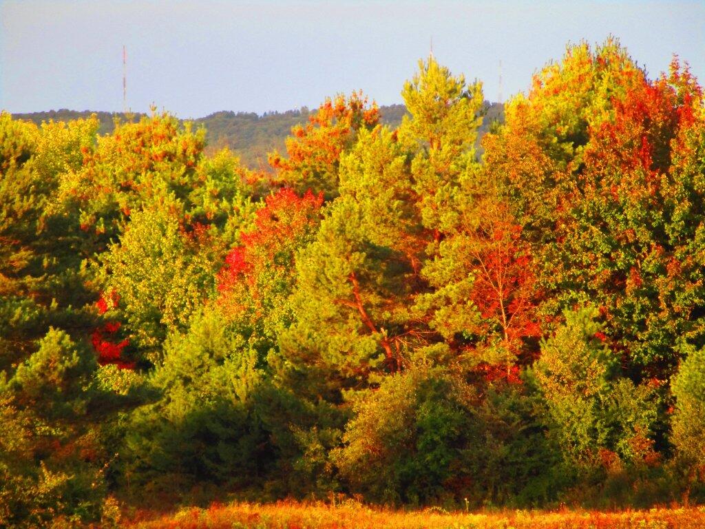 Photo: Start Of Autumn Colors