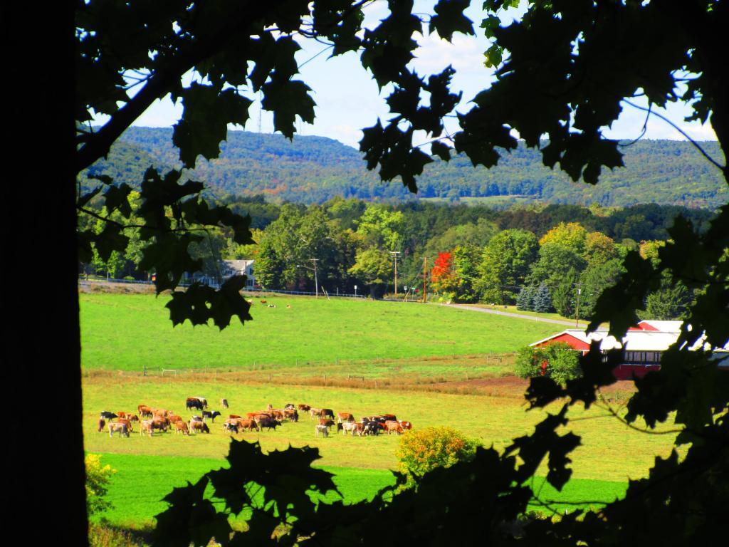 Photo: End of the Grazing Season Not Far Away