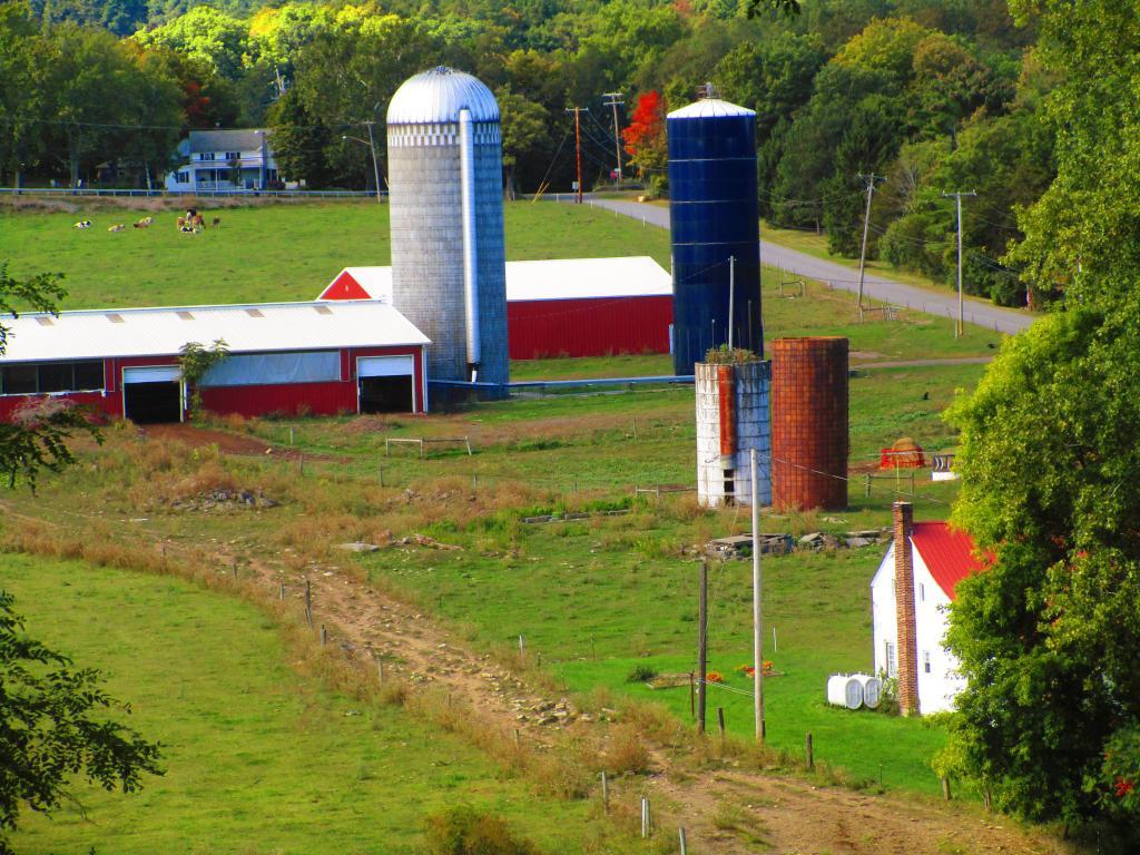 Photo: Old Farm House