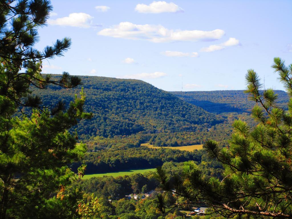 Photo: Wolf Hill