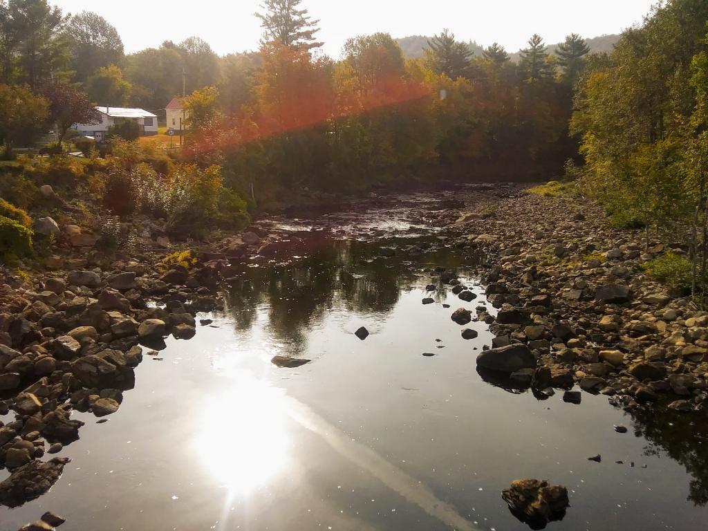 Photo: Water levels are low