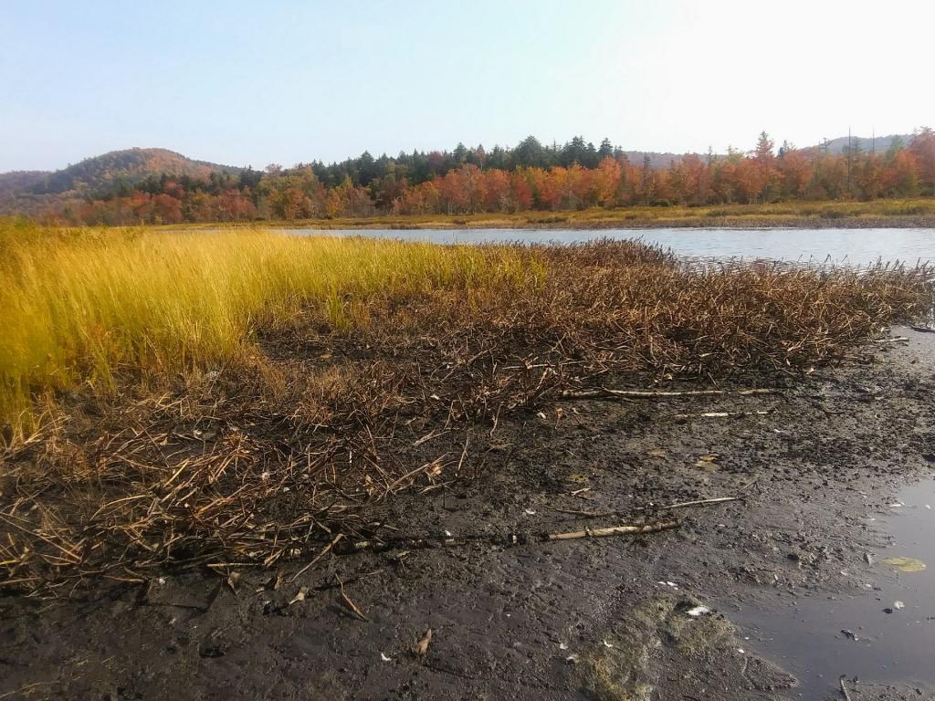 Photo: Sacandaga River