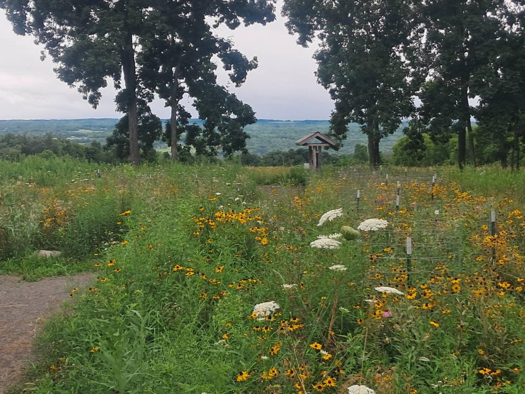 Photo: Untitled Photo: Untitled