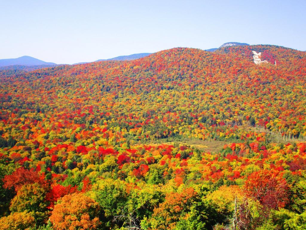 Photo: No Complaints About the Colors